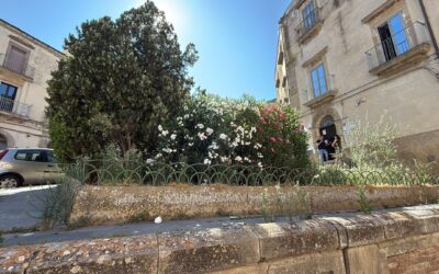 Riqualificazione area verde con il progetto Kairòs al MCL “Don Luigi Sturzo” di Caltagirone